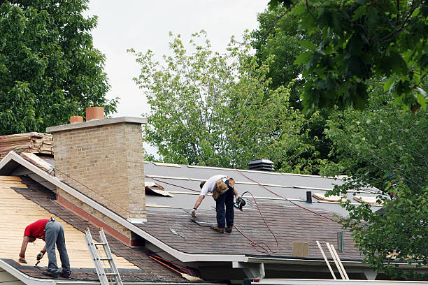 Roof Gutter Cleaning in Orchidlands Estates, HI